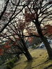 「今日も、お疲れ様でした」