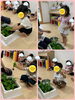 小松菜の収穫♫お給食でいただきました「雨の日も賑やかです(*^^*)【交野市・小規模保育園】」