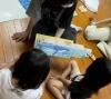 絵本楽しいね!すごいな、海の世界!「8月18日南区吉祥院いきいきセンターでの無料の英語リトミック体験レッスン、まだ残席あります!【南区&下京区のピアノ•リトミック•英語リトミック】」