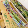 「宮城県南三陸産「水ふき」の入荷が始まりました！」