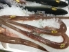 「魚魚市場鮮魚コーナー「カツオ・ホウボウ」です♪」