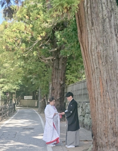 「おめでとうございます♡」