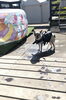 「ましゅまろプール  ^o^」