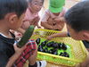 こんなにナスが採れたよ！🍆みんなの分足りるね！「1学期終業式🌻夏休みのはじまりです！」