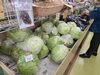 「夏野菜増えてきましたよ～」