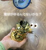 チェックお願いします。「光妙灯の謎解き٩(๑❛ᴗ❛๑)۶斐川町 仏壇」
