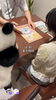 「つだぱんがご案内♪ 漢方薬局の1日をインスタでのぞいてみませんか？」