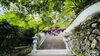 王至森寺さまの山門「1年で1番暑いと言われる「土用の丑の日」も、心頭滅却すれば、火もまた涼し」