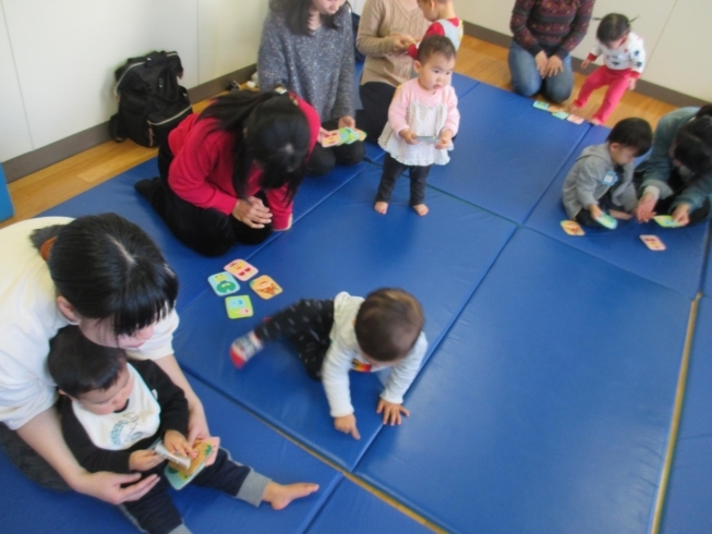 何のカルタかな・・・「今日は「こあら組」がありました！」