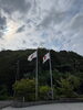 本日は夏至です「今日は夏至です☀」