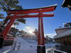 雪のおいなりさん「最強寒波」