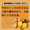 「インカのめざめ、とてもお買い得価格でご案内しております！」