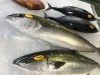 「魚魚市場鮮魚コーナーおすすめは「イトヨリ」です♪」