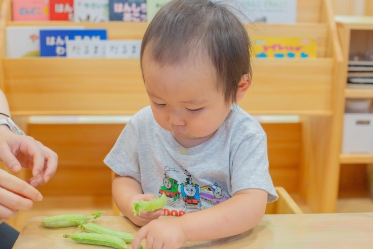 「豆の皮むき　京都保育園　活動の様子」