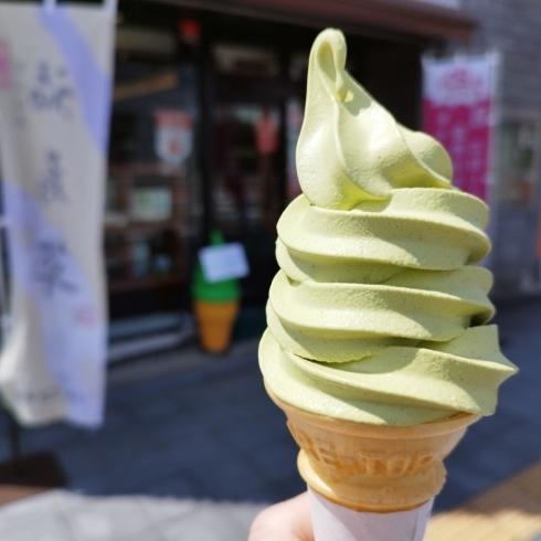 緑茶ソフトクリーム🍦も美味しいよ！「《木曜日は福寿草》急須で淹れると美味しいよ!」