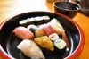 菊寿し