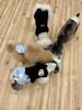 みんなでノーズワーク中😋「ましゅまろ幼稚園🐾」