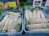 出荷が始まったカルスト大根「秋の味覚が増えてきました!」
