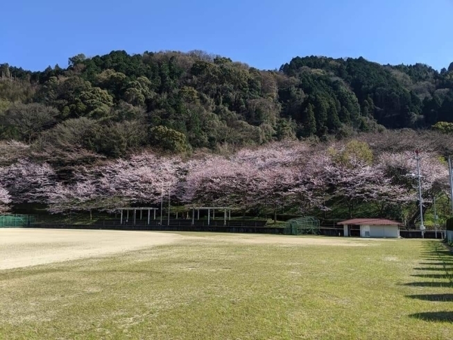 石根ふれあい公園「新型コロナウイルス感染症拡大防止へのご協力のお願い」