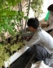 「樹木の入れ替えに行きました🌳」
