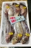 「西海物産館・魚魚市場鮮魚コーナーおすすめ商品は「フエフキダイ・コウクロダイ・本カツオ」入荷してます！」