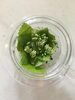 熱いお湯を注ぎ綺麗なグリーンのハーブティでスッキリ「ハーブや花との生活」