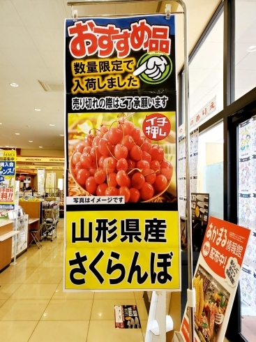 「数量限定で《さくらんぼ》が入荷されました✨」