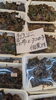 「イワシヘシコ完成」