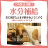 水分補給「犬の猛暑対策！暑さを乗り越えよう！！」