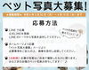 ご自慢の写真、お気がるにお送りください！「ペット写真大募集中！応募いただいた写真ご紹介中です！」
