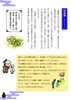 怒らせると怖い神仏さまとは？　２「建物の新築・増改築で困らない！入門書⑬　「怒らせると怖い神仏さまとは？」」