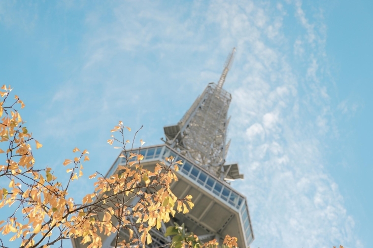 テレビ塔と紅葉（2021年撮影）「秋のおでかけ特集を公開中！【名古屋市中区の地域密着情報はまいぷれ】」