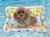 もっちーちゃん「波とわんこ🌊」