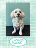 「Dog salon mofu mofu　余市町」