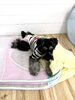 どんなカタチでもボールプールが大好きグーちゃん♡「ましゅまろ幼稚園　(^-^)」