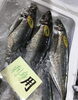 「魚魚市場鮮魚コーナーおすすめは「トビウオ」です♪」
