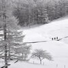 入笠湿原の様子「冬の入笠山で楽しむスノートレッキング❄︎」
