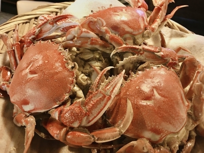 スケベ虫とエッチ蟹 睦乃家 ぼくんち 二代目鉄五郎のニュース まいぷれ 立川市 スケベ虫とエッチ蟹 睦乃家 ぼくんち 二代目鉄五郎のニュース まいぷれ 立川市