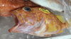 「魚魚市場鮮魚コーナーおすすめは「島根県産甘エビ・スルメイカ」です♪」
