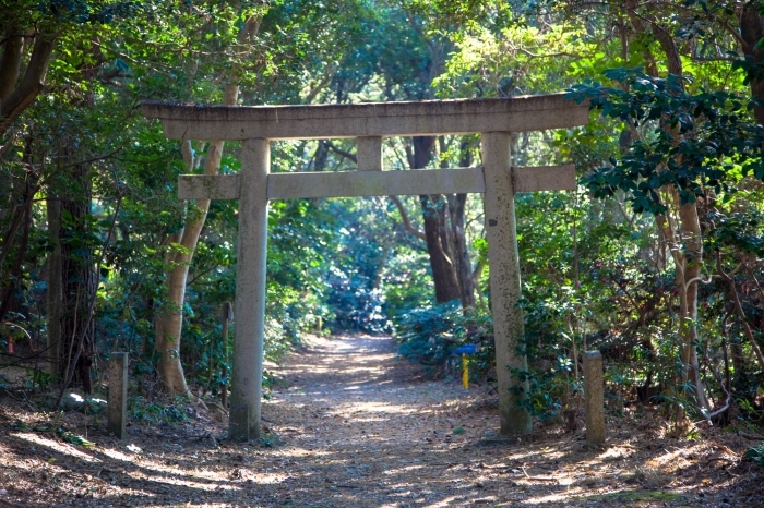 山の中にある白山社