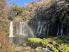白糸の滝「新年のご挨拶/水槽レンタルならアクアデザインブルース/島田市/アクアリウム/」