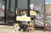 犬雑貨RIN and RUN(りんるん)