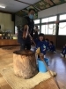カバ園長先生とよいしょー！！！「１９日におもちつき会をしました！臼に入ったお餅を一人ひとり杵を持ってぺったんこしました☆」