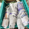 「ねぎ苗入荷しました！農産物直売所」