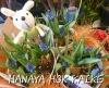 ムスカリ「【はなやHOK皆生店】新しい鉢を入荷しました！」