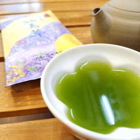 「《木曜日は福寿草》美味しいお茶を飲みながらお花見を楽しみましょう!」