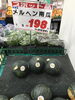 「本日のおすすめ！釧路スーパーヒロセ」