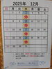 「📣本日のお魚情報🐟」
