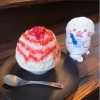 都内に本店があるかき氷専門店の味が大宮で！「氷連　大宮」