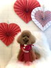 Tiaちゃん／こっとんカットロング　指名ＳＡＫＩ「Happy Valentine ♡」